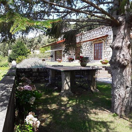 Cristelo  Casa De Crespins Casa De Campo Lda מראה חיצוני תמונה